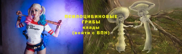 apvp Заводоуковск