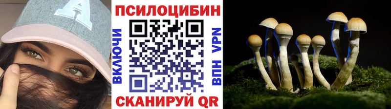 Галлюциногенные грибы Cubensis  Купить  Анива 